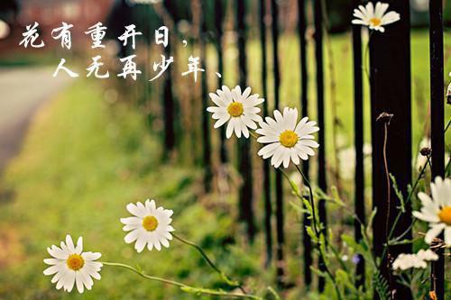 社区医生自查报告范文