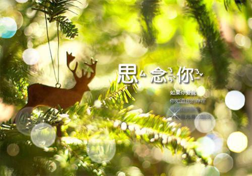 冰原下的囤货人（林默赵鹏周明睿）最新推荐_最新推荐冰原下的囤货人（林默赵鹏周明睿）
