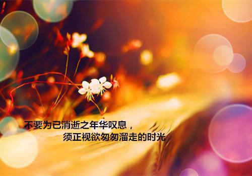 【热门】个人自查报告