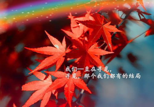 2023最新毛概暑期社会实践报告