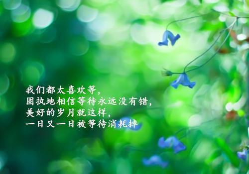 大学生个人之马兰行暑期社会实践报告