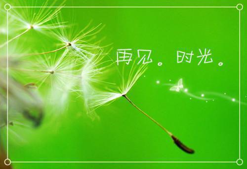 “除四病，刹四风”干部作风集中整治活动自查报告