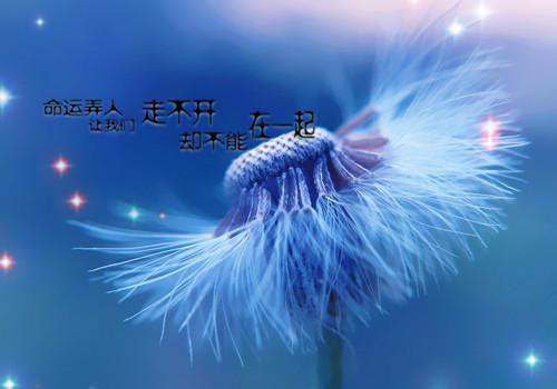 有关幼儿园老师表扬信4篇