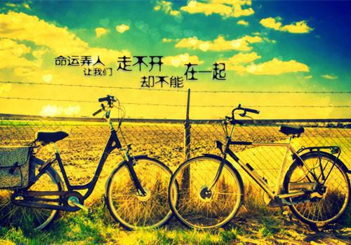 浪漫的英文爱情名言句子
