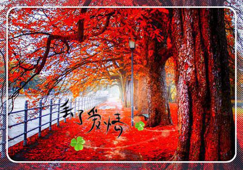 名人爱国的故事精选：刘罗锅智告贪官