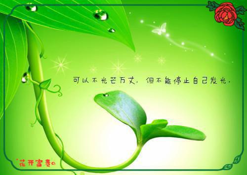网络工程专科简历范文