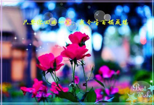 空山梵呗静，水月影俱沉。