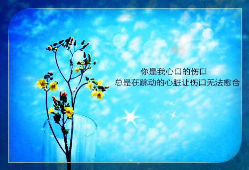 英文求职信写作与技巧
