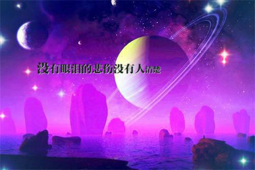 辅导员个人工作总结