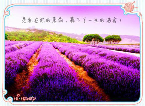2023年7月大学生办公室文员社会实践报告