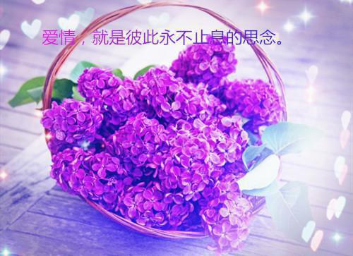 内心伤感难受的英文个性签名带翻译 说浅了不感人说深了没人信