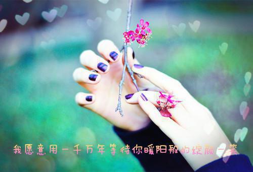 一朵江梅春带雪。玉软云娇，姑射肌肤洁。