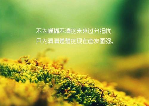 大学生三下乡社会实践报告范文1500字