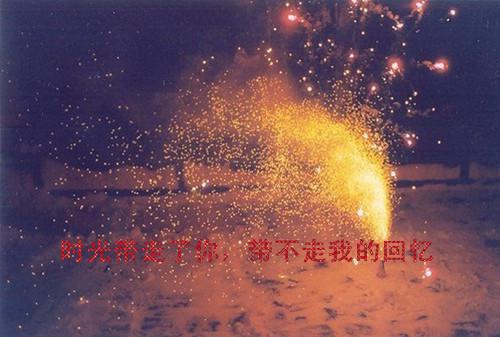 中学校园安全倡议书