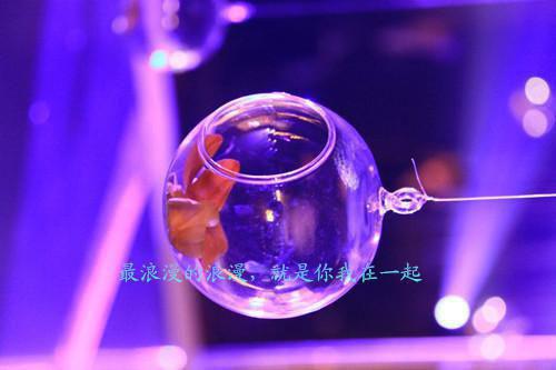 2023年重阳节慰问信