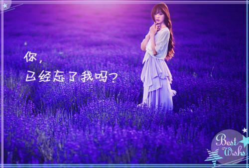关于转变文风会风自查报告