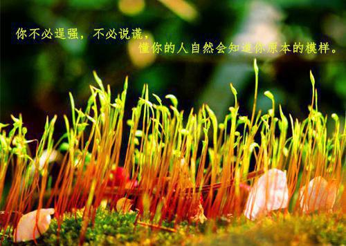 第一天上班迟到万能检讨书1000字