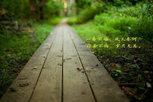 创造有个性的大学生自荐信