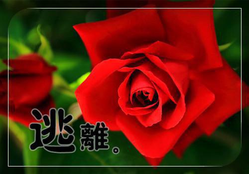 中秋节公司给员工的慰问信范文【三篇】
