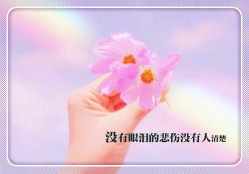 物流专业个人求职信范文
