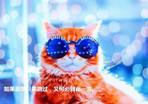 那些难以忘记的爱情伤感个性签名 悲伤唯美个性签名大全