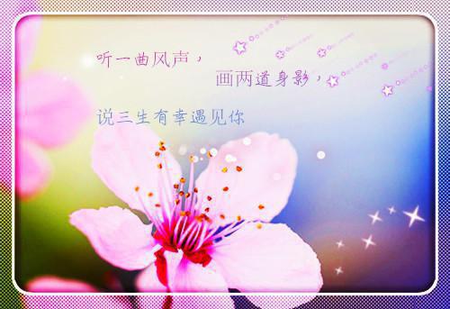 四百零四字的夜