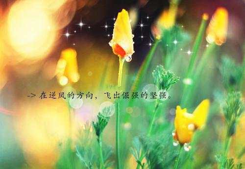 初中校长个人述职工作报告