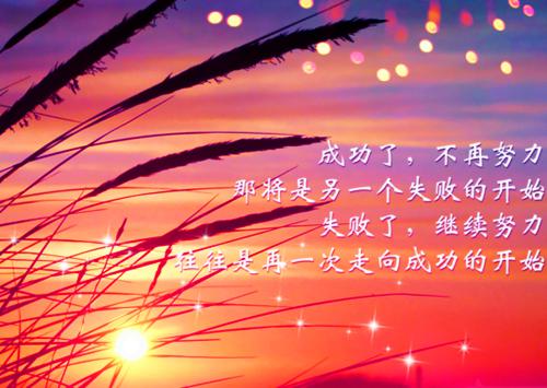怎么写开幕式的的邀请函