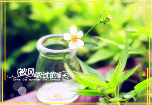 怎么写数学教师实习报告