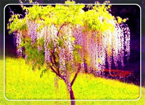 教师给家长的表扬信范文