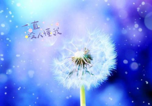 简短最美情书