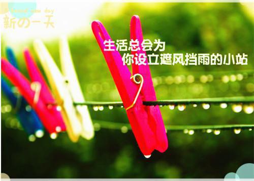 大学毕业生自荐信范文4篇