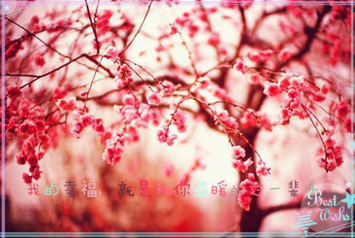 重生蜜恋：偏执九爷他沦陷了小说番外+结局（云漫夏白承宣）小说在线阅读