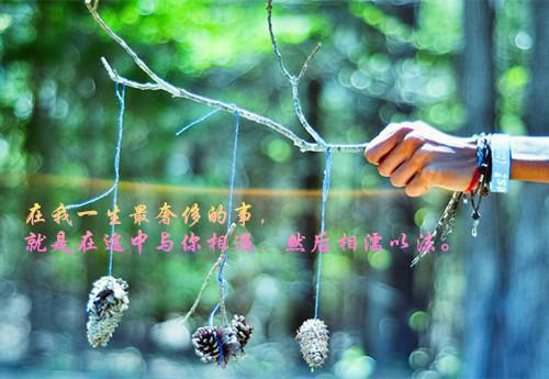 个人治转提自查报告范文精选