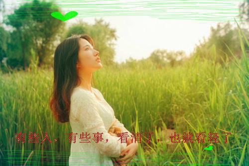 英语教育专业大学生的自荐信范文