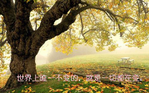 【热】银行求职自荐信