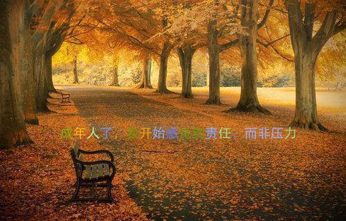 新章速递星河尽头再无他小说小说结尾阅读无广告（宋佳宜傅锦萧）