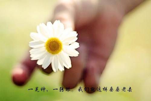 程序员求职信4篇