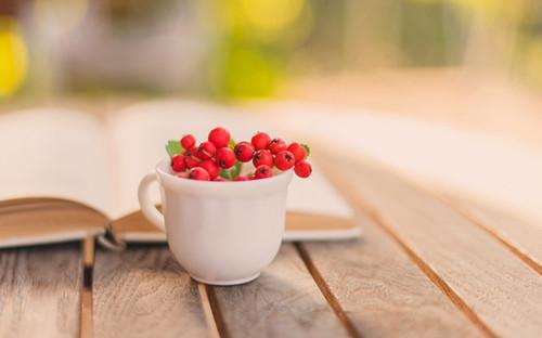 精选英语师范生求职信范文