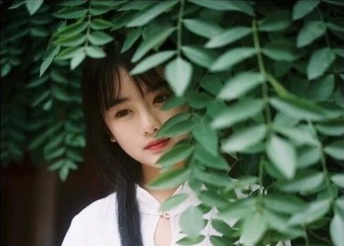 精选师德师风承诺书汇总六篇