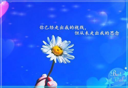 2023会计专业实习总结