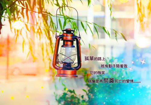 富有哲理的爱情名言