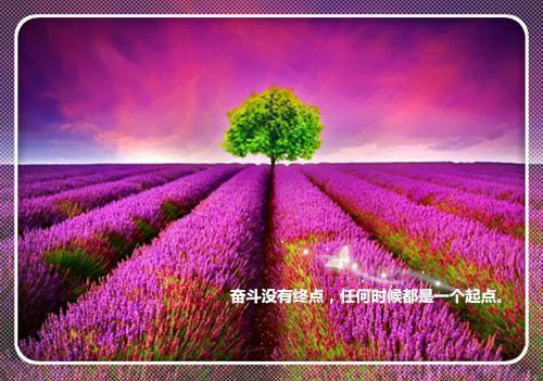 关于大学生村官自查报告