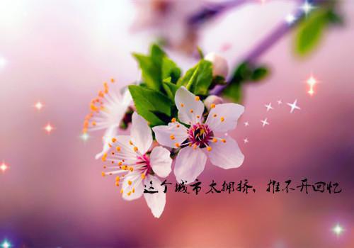 旷课迟到检讨书3000字范文