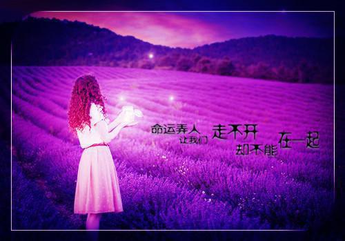应届生求职信范文锦集九篇