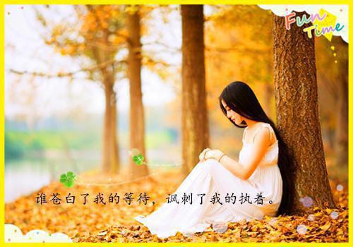 精选会计类求职自荐信模板汇编5篇