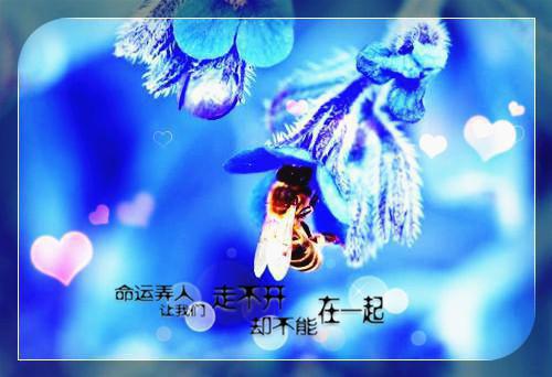 师德名言名句