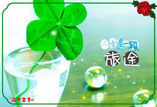 酒店卫生整改措施
