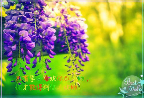 大学生会计专业的一份自荐信