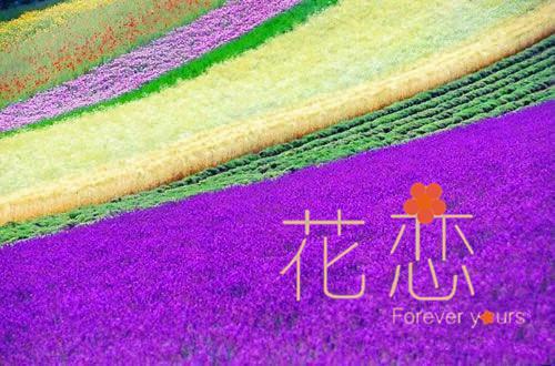 写给领导的感谢信3篇